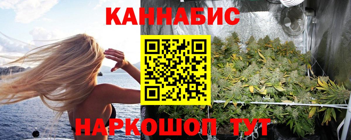 Шишки марихуана планчик  Вход с VPN  Марихуана марихуана  Балабаново  Шишки марихуана OG Kush 